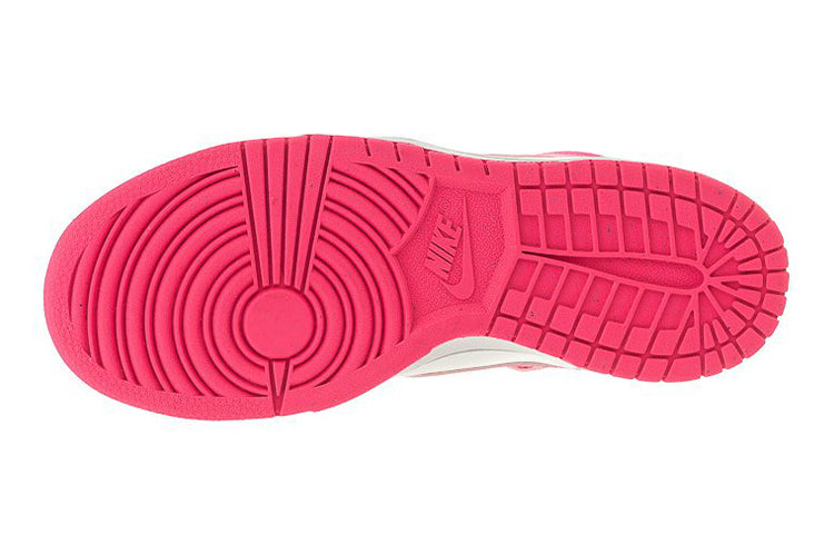 Nike Dunk High (GS) 308319-127