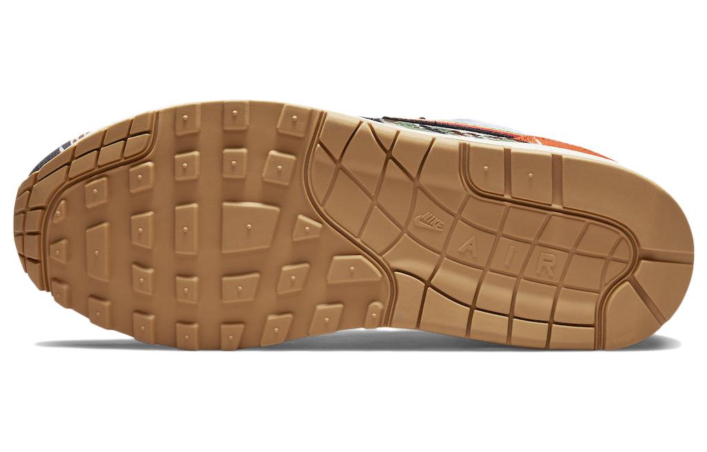 Concepts x Nike Air Max 1 SP DN1803-900