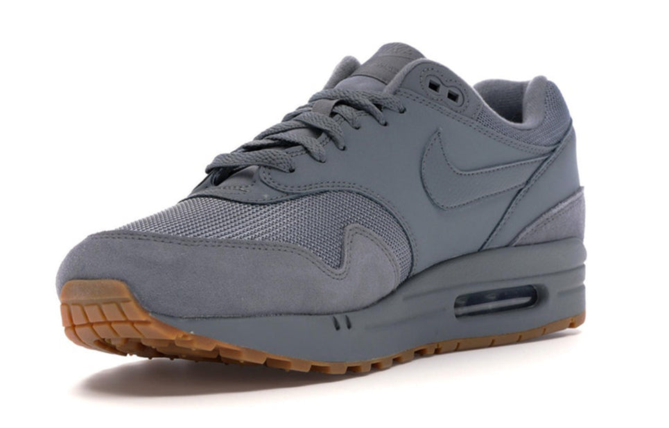 Nike Air Max 1 'Cool Grey' Cool Grey/Cool Grey/Cool Grey AH8145-005