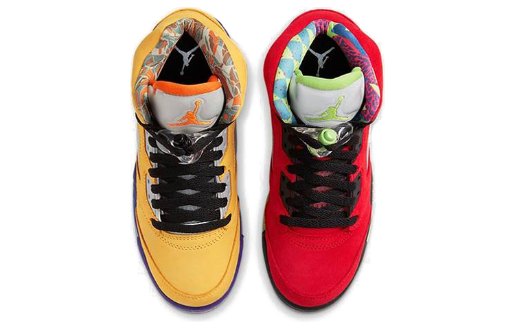 Air Jordan 5 Retro SE GS What The CZ6415-700