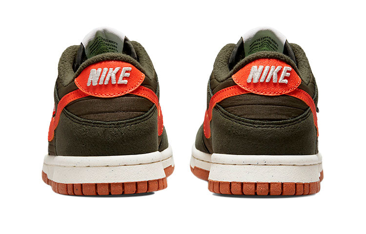 Nike Dunk Low (GS) DC9561-300 sneakmarks