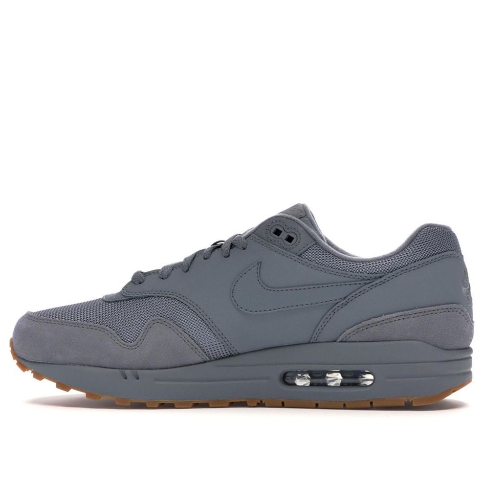 Nike Air Max 1 'Cool Grey' Cool Grey/Cool Grey/Cool Grey AH8145-005