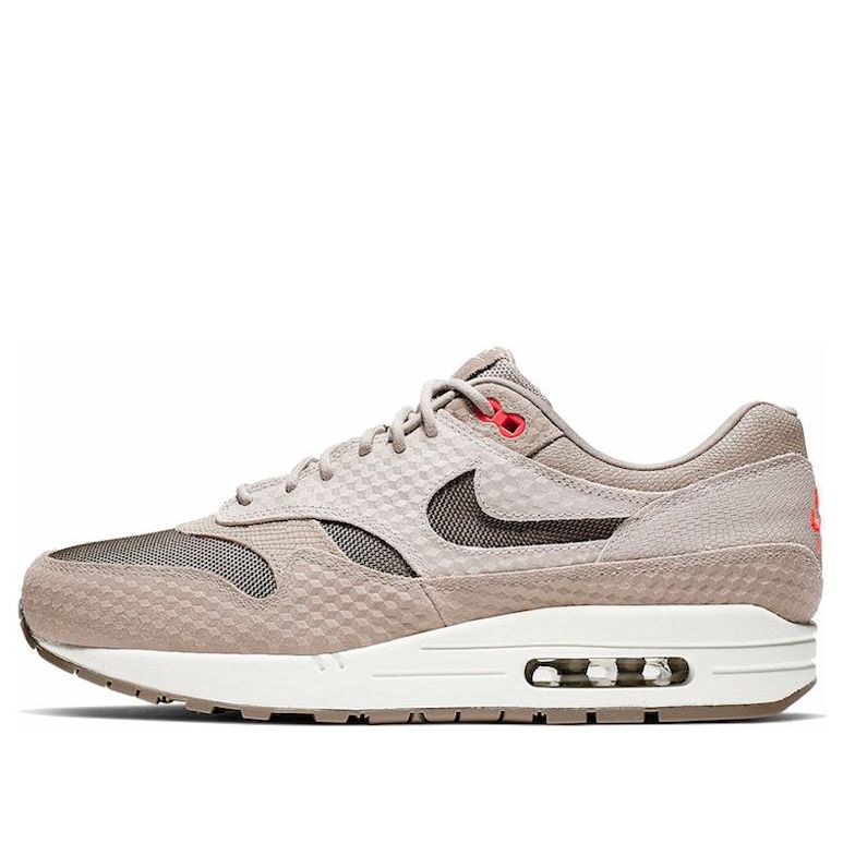 Nike Air Max 1 Premium 'Moon Particle' Moon Particle/Ridgerock/Sepia Stone 875844-205