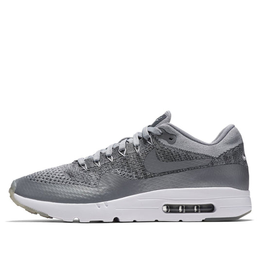 Nike Air Max 1 Ultra Flyknit Wolf Grey 843384-001