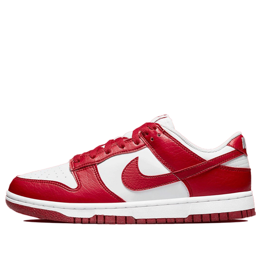 Nike Dunk Low Next Nature DN1431-101 sneakmarks