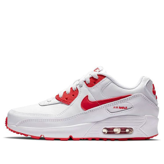 Nike Air Max 90 LTR Leather (GS) CD6864-106