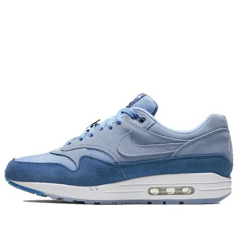 Nike Air Max 1 'Have A Day' Aluminum/Indigo Storm/White BQ8929-400