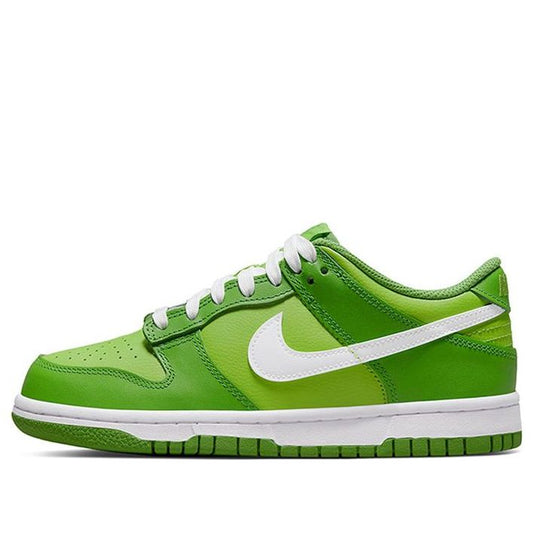 Nike Dunk Low DJ6188-301 sneakmarks